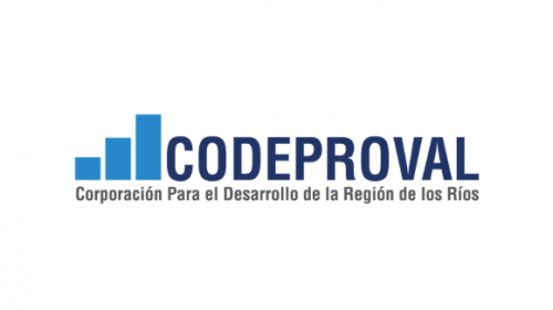 CODEPROVAL-logo-a96105a1